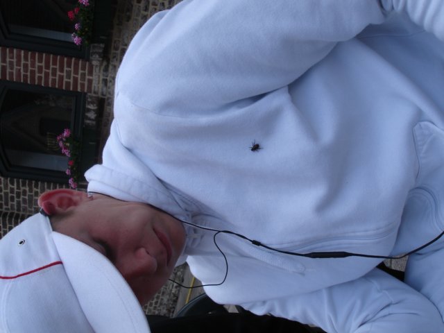 HWK 2009 149.jpg